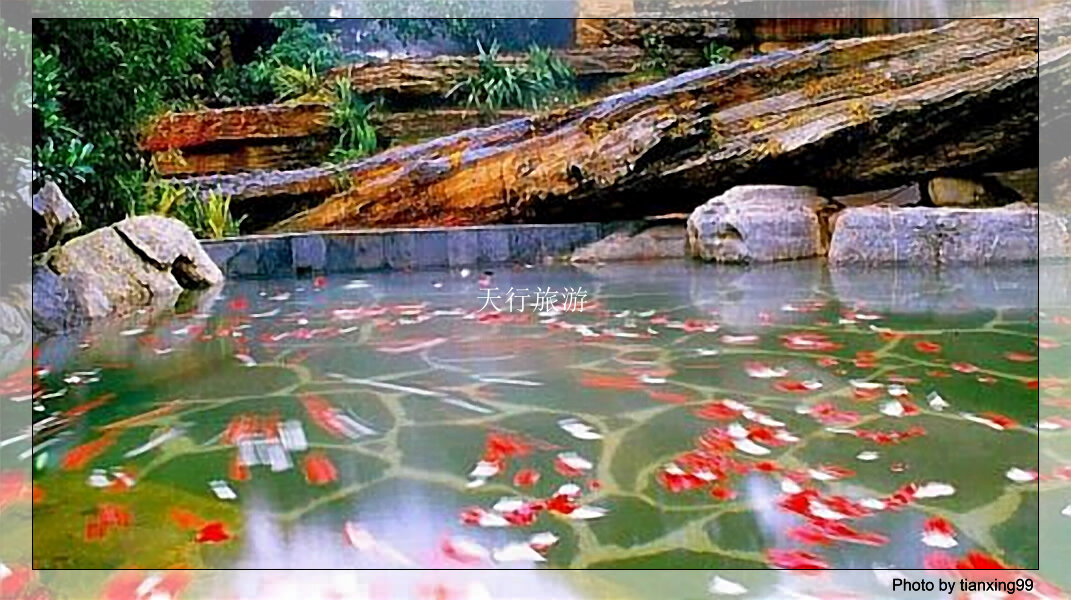 首期研學(xué)旅行指導(dǎo)師職業(yè)能力等級(jí)評(píng)價(jià)實(shí)訓(xùn)班