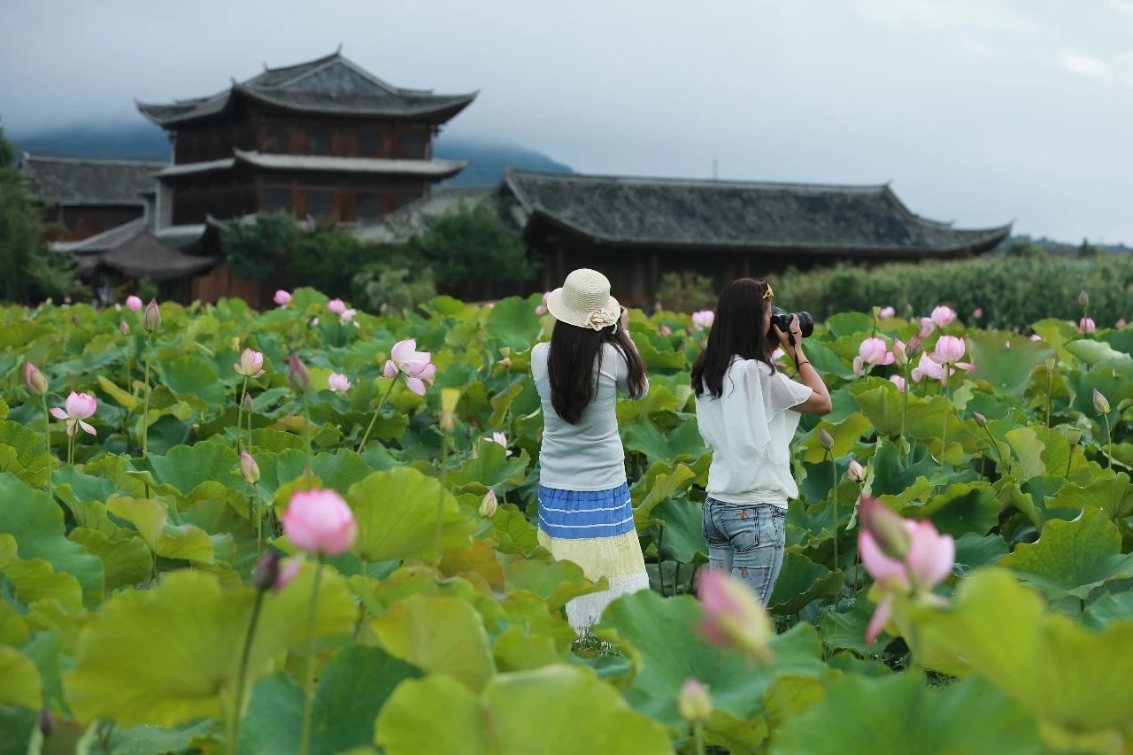 2020暑期?騰沖研學(xué)：打卡邊境小城，與自然對(duì)話！