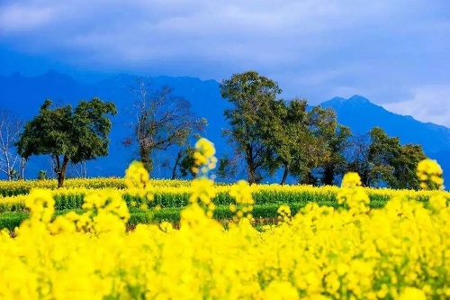 對于云南的民族節(jié)日你知道幾個？