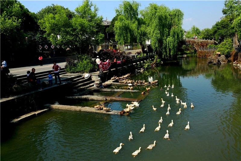 研學(xué)商業(yè)模式或?qū)⒕拮?！北京鼓勵社會力量參與博物館社教活動開發(fā)和實施