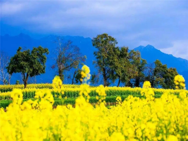 中國騰沖秘境之旅：飛瀑如花濺，溫泉洗纖塵，騎馬古道--美麗的溫泉圣地櫻花谷游記一篇