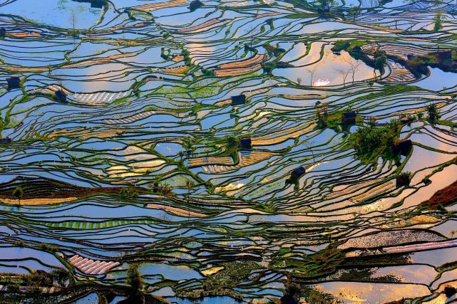 暑假想去云南旅游，有哪些旅游城市可以推薦