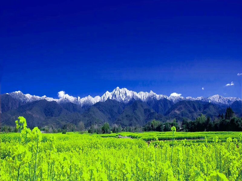 云南一年四季任何時間都可以游玩的地方有哪些？