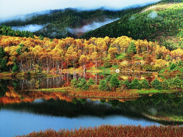 享受婚禮、選擇專業(yè)，您的完美婚禮是我們永不改變的目標(biāo)