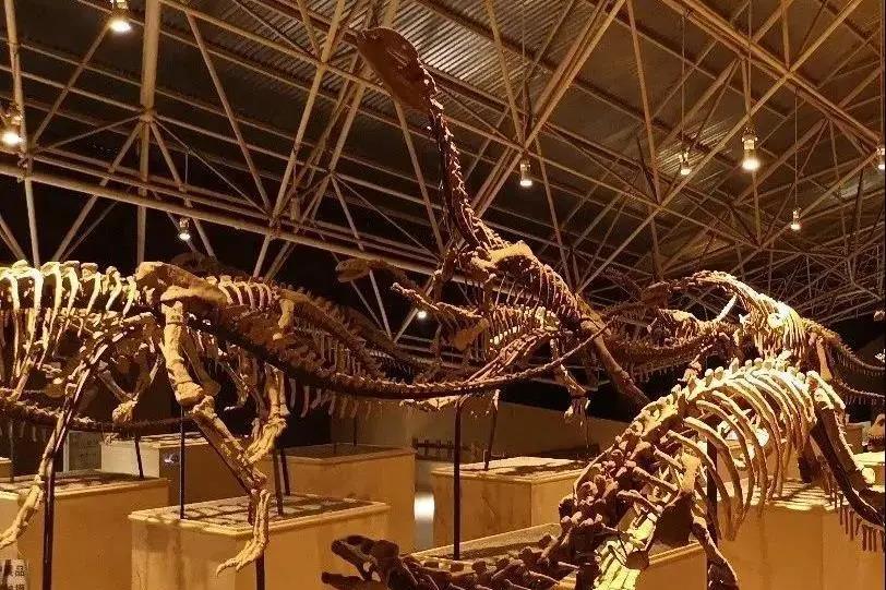 暢游云南，這12條經(jīng)典路線不能錯(cuò)過！—— 世界恐龍谷歡樂暢玩