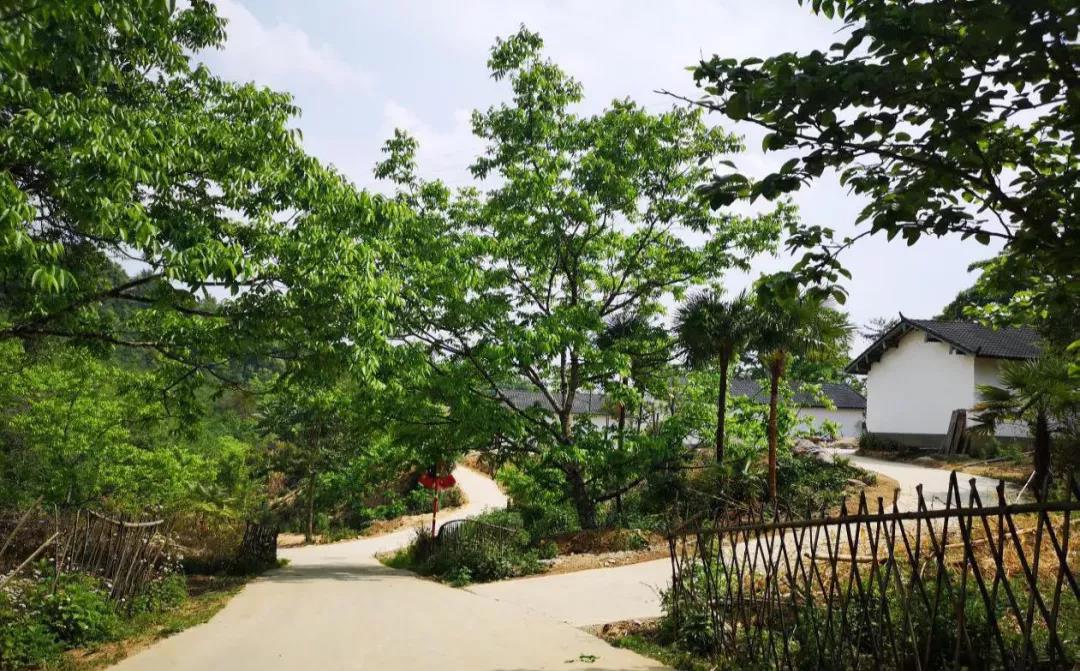 云南鄉(xiāng)村旅游，“玩”出特色！德宏：打好發(fā)展組合拳