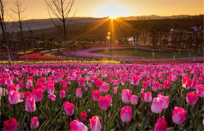 中國(guó)旅游日將至，快來太平湖森林小鎮(zhèn)感受云南紅河旅游花樣時(shí)光