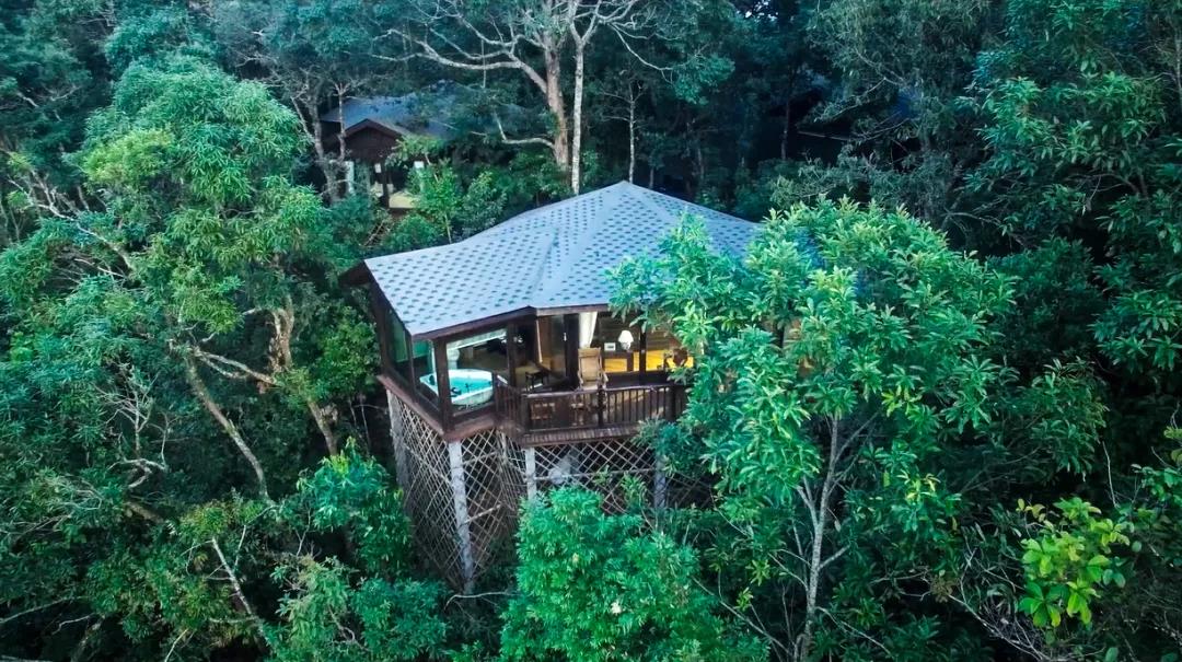 六一遛娃這3家親子酒店,童趣世界萌趣童心找個(gè)親子酒店快樂(lè)過(guò)六一,寶爸寶媽看了都想私藏！