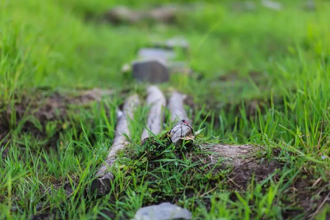 兒童節(jié)、周末帶娃最強(qiáng)玩法出爐！這4大體驗(yàn)，孩子玩得開心又長(zhǎng)知識(shí)