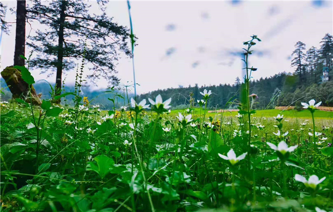 旅游康養(yǎng)要順利發(fā)展需要哪些要素加以支撐呢？