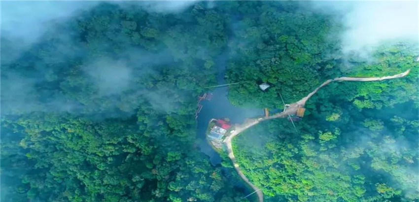 紅河屏邊 ，天然氧吧  ，動(dòng)植物基因庫  ，到這里，呼吸綠色！