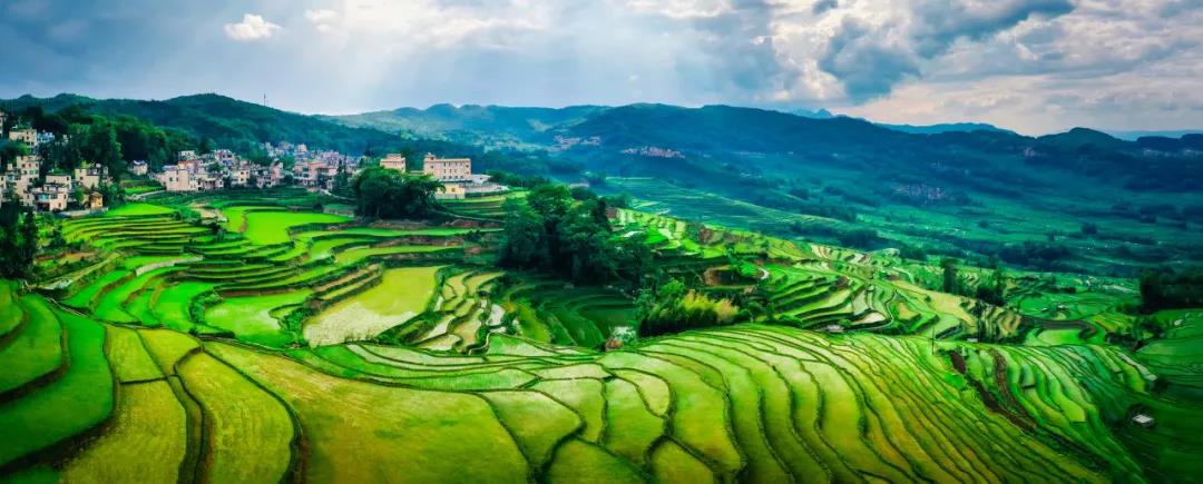 去到了紅河州元陽縣哈尼梯田才知道，什么是人在畫中游！