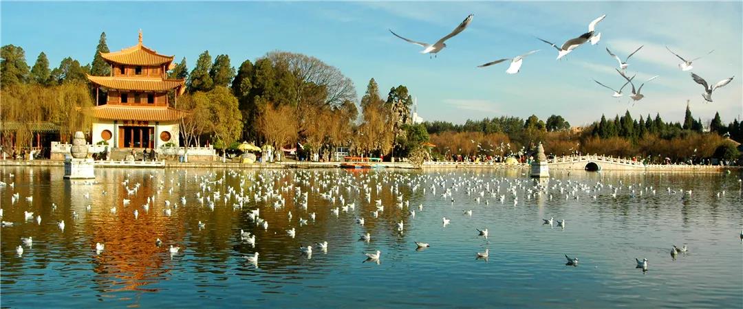 跟著當(dāng)代詩(shī)歌游云南