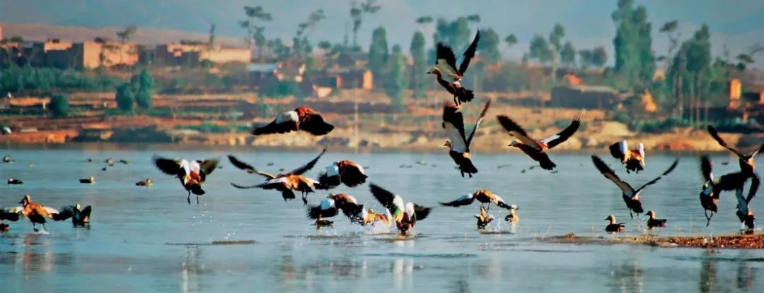 都說建水美，但這種美你卻不一定見過！