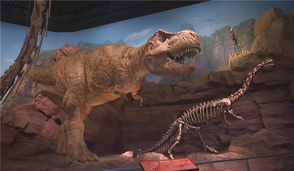 云南澄江化石地：世界遺產(chǎn)，探索人類起源，見證寒武紀(jì)生命大爆發(fā)