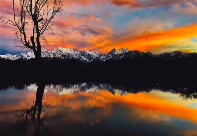 美哭了！邂逅梅里雪山絕美倒影，藏地桃花粉海，找尋滇金絲猴，再不出發(fā)就晚了 