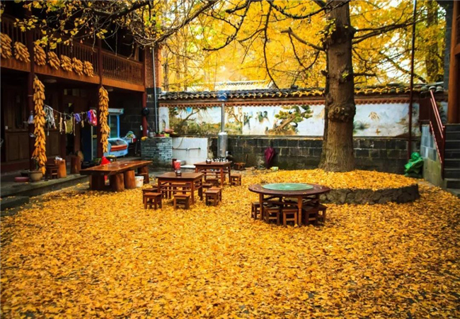 救命！云南騰沖的秋天勾走了我的“魂”~