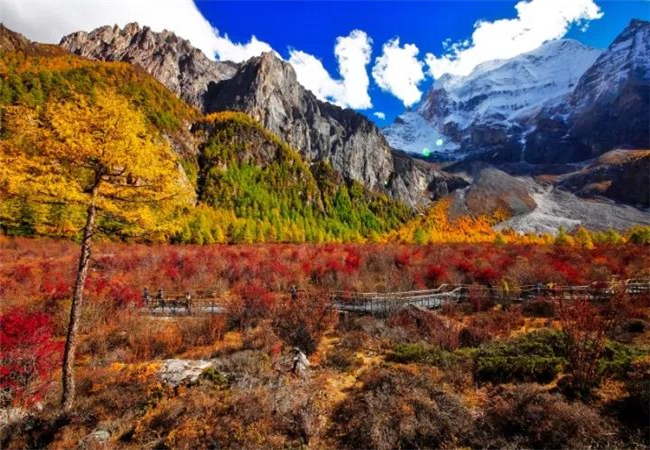 云南旅游攻略稻城亞丁的秋天， 美到炸裂了！?。? /></a>
                            </div>
                            <div   id=