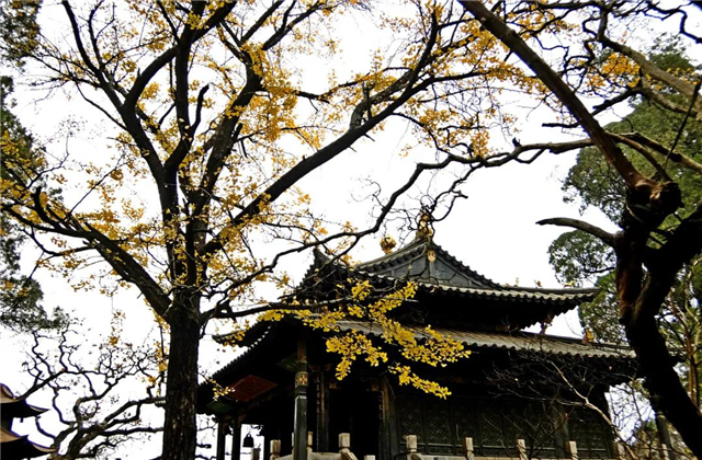 云南傳媒公司：在云南，聽說古鎮(zhèn)和秋天更配