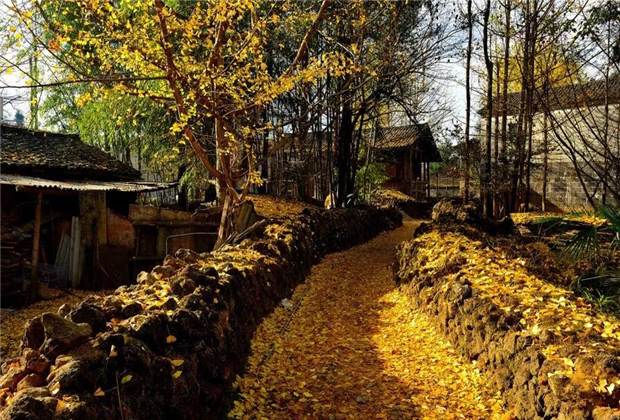 云南傳媒公司：一定要在秋天去一次云南！