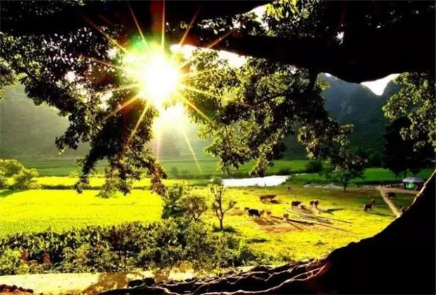 云南傳媒公司：這才是傳說中的世外桃源，要到4月份才開放！