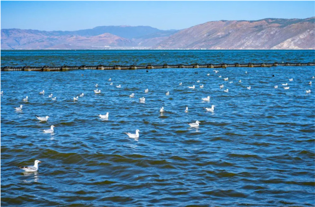 大理有一種浪漫的生活，曬太陽、泡溫泉、品美食……在大理，給你治愈一整個(gè)冬天！