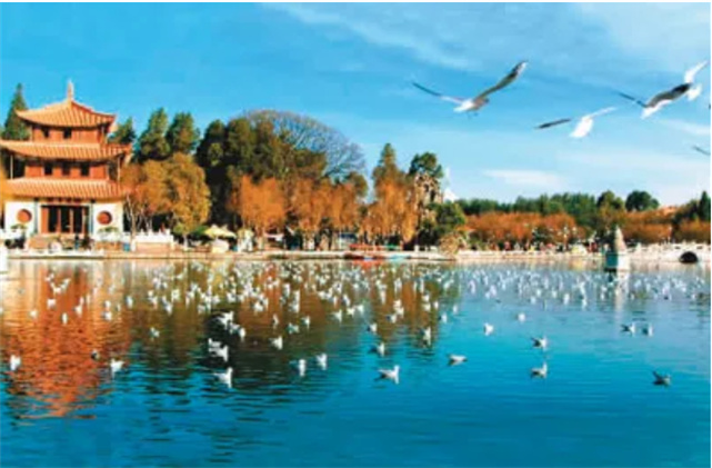 泡溫泉觀海鷗品美食曬太陽，昆明的冬天在溫暖的陽光里度過