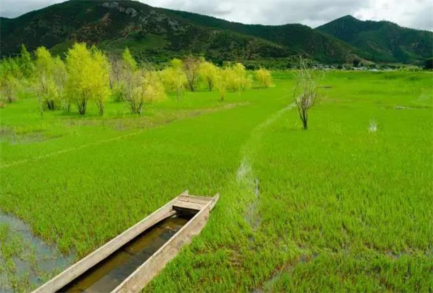 云南會(huì)展策劃：關(guān)于瀘沽湖的好風(fēng)景，都想與你分享！