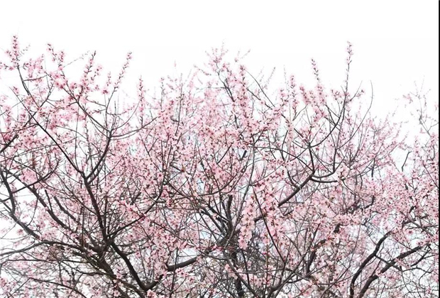 云南傳媒公司：24個(gè)相見恨晚的旅行地，收藏好這份旅行清單