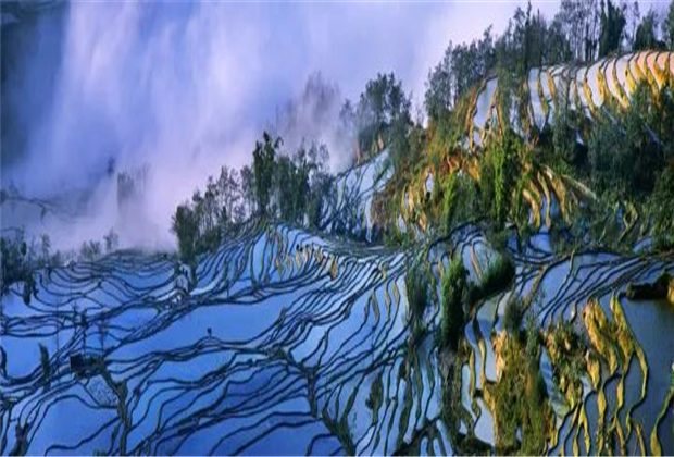 云南傳媒公司：元陽梯田最佳觀賞期到啦！哈尼族1300年歷史結(jié)晶，究竟有多美？