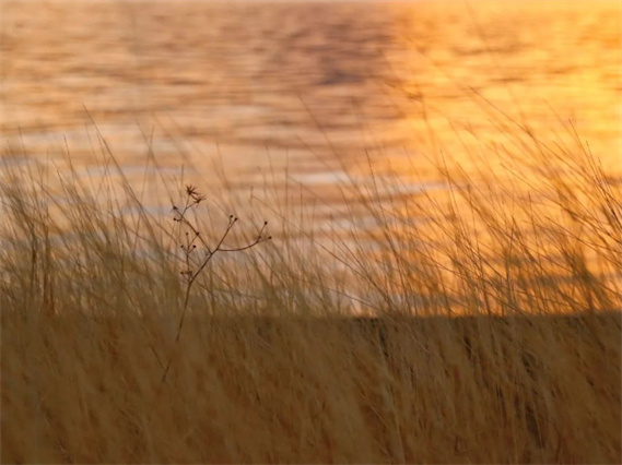 醉美，湖光山色云南永勝程海湖！