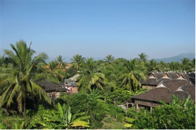 美麗的西雙版納永遠(yuǎn)都是“象”往的地方！