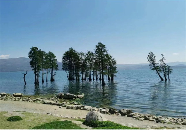 端午游大理,風(fēng)光美景擾人醉！