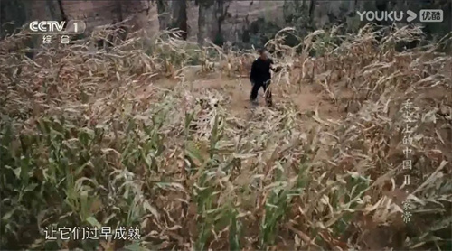 趣說人文歷史｜康乾盛世，“番薯盛世”？