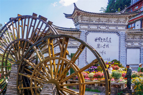 云南麗江老君山，實(shí)在太美了，遠(yuǎn)赴麗江驚鴻宴美哉！