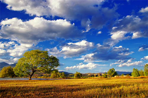 麗江的聲音真好聽(tīng)！