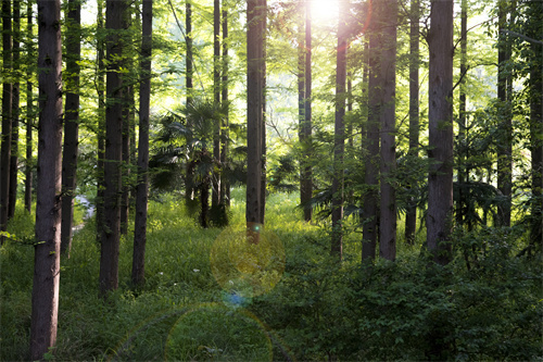 云南拓展訓(xùn)練怎樣才能順利的進(jìn)行呢？