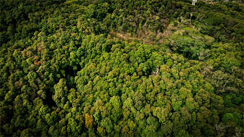 游云南！滇中·云境探秘之旅