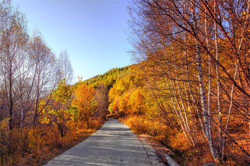 云南旅行經典路線攻略！穿越古今，品味古滇悠久歷史文化