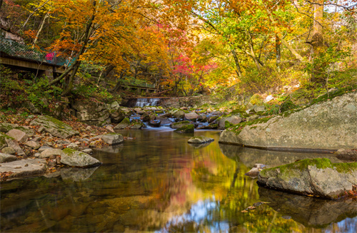 春節(jié)云南特輯 | 人少景美！春節(jié)云南旅游線路推薦九