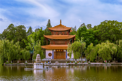 春暖四時(shí)，花開昆明，感受春城初春之美！