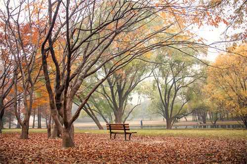 高光開遠(yuǎn) 一眼萬(wàn)年鳳凰樓