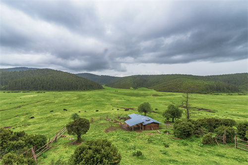 云南美食十大黑名單，你耐得住幾個？
