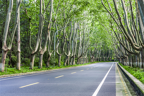 去曲靖這些網(wǎng)紅小眾景點(diǎn)打卡，人少不擠，還分分鐘驚艷你的朋友圈