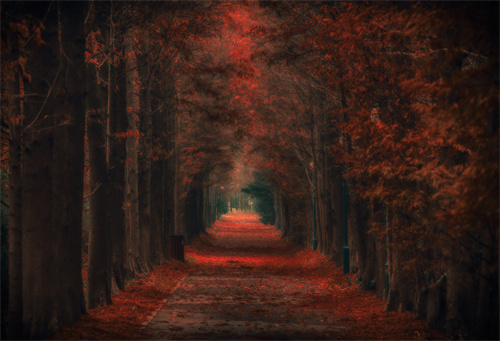 一眼千年，走進(jìn)熠熠生輝的瀘西城子古村