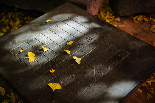 五一澄江撫仙湖親子游：趣味農(nóng)耕，酷爽皮劃艇，春日騎行！