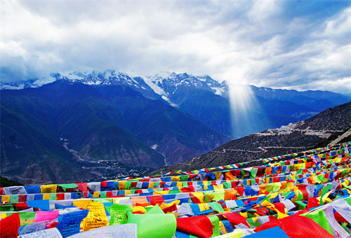 不足600只！云南這種絕美動(dòng)物遠(yuǎn)比大熊貓珍惜