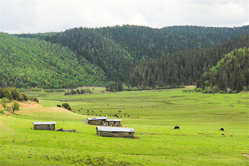 探尋云南紅色文物，回溯百年崢嶸記憶