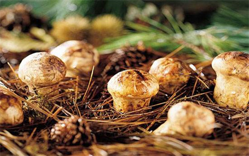 暢游云南，這12條經(jīng)典路線不能錯(cuò)過！—— 天地萬象，領(lǐng)略大自然的鬼斧神工