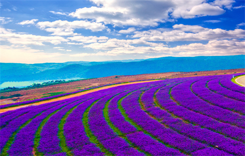 云南新推10條旅游線路線路二:滇西·藝美云南之旅